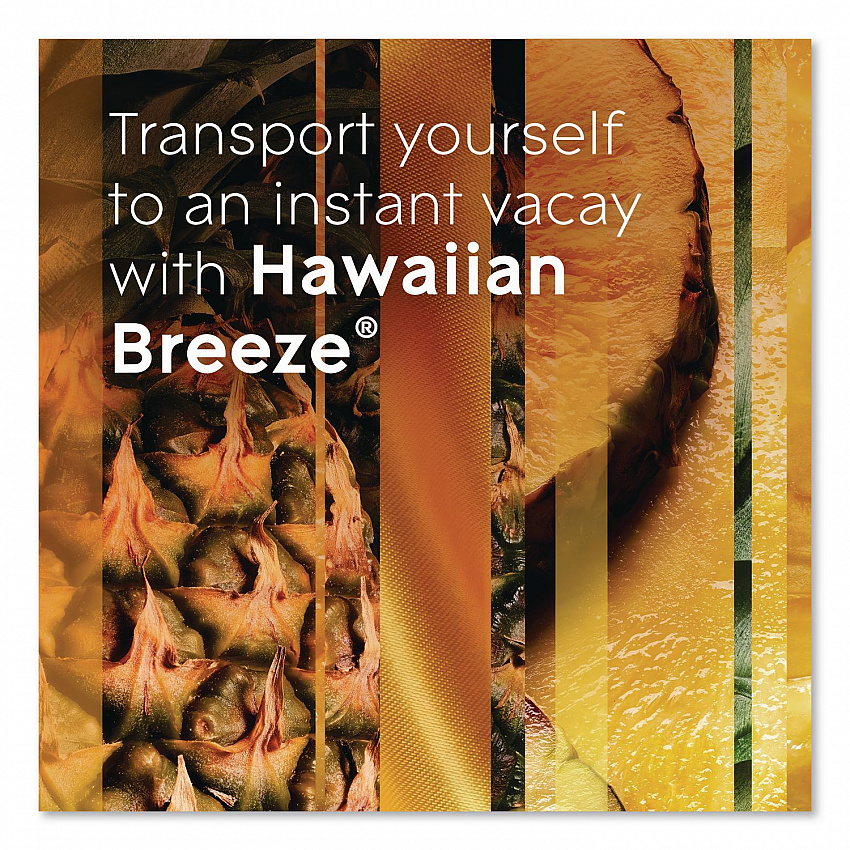 Plugin Scented Oil Refill, Hawaiian Breeze, 0.67 oz, 5/Pack (315181)