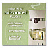 Vibrant Scented Oil Warmer Refill, Sweet Hibiscus and Magnolia, 0.67 oz, 2/Pack (6233801048)