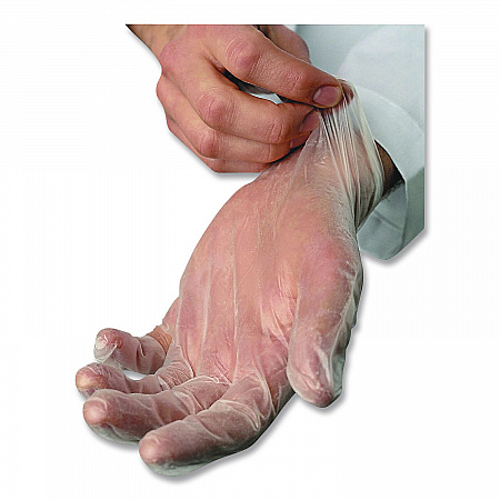 V5101 Series Latex-Free Lightly Powdered Vinyl Gloves, X-Large, 3 mil Thick, 9