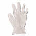 V5101 Series Latex-Free Lightly Powdered Vinyl Gloves, X-Large, 3 mil Thick, 9
