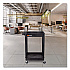 ENDURA Two-Shelf Utility Cart, Plastic, 300 lb Capacity, 26.5