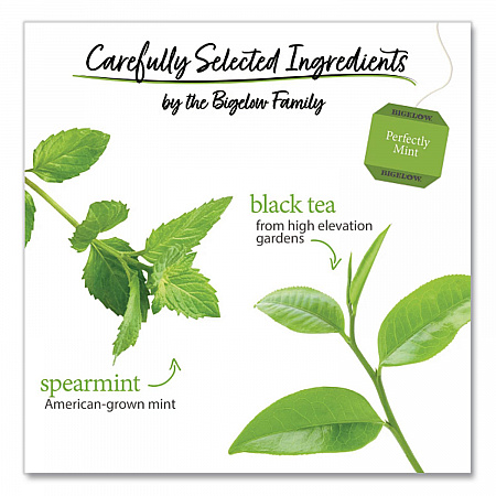 Perfectly Mint Black Tea, 28/Box (10344)