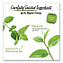 Perfectly Mint Black Tea, 28/Box (10344)