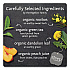 steep Tea, Dandelion and Peach, 1.18 oz Tea Bag, 20/Box (17715)