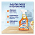 Kitchen Pro Antibacterial Cleaner, 22 oz Spray Bottle (79556EA)