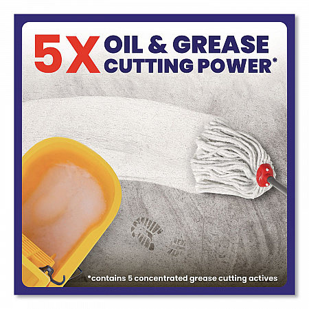 Degreasing Floor Cleaner, 1 gal Bottle, 3/Carton (19892)