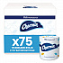 Commercial Bathroom Tissue,  Individually Wrapped, Septic Safe, 2-Ply, White, 450 Sheets/Roll, 75 Rolls/Carton (71693)