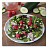 Epicure Melamine Dinner Plate, 8