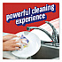 Dish Detergent, Liquid, Orange Scent, 28 oz Bottle (44678EA)