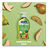 Antibacterial Hand Soap, Pear Scent, 11.25 oz (98540EA)