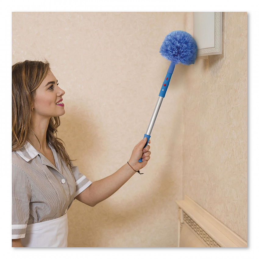 Cobweb/Corner Duster Brush with 20" Pole (GRI108)