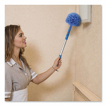Cobweb/Corner Duster Brush with 20