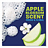 Ultra Liquid Dish Detergent, Apple Blossom Scent, 38 oz Bottle, 8/Carton (20711)