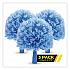 Cobweb/Corner Duster Brush, 8