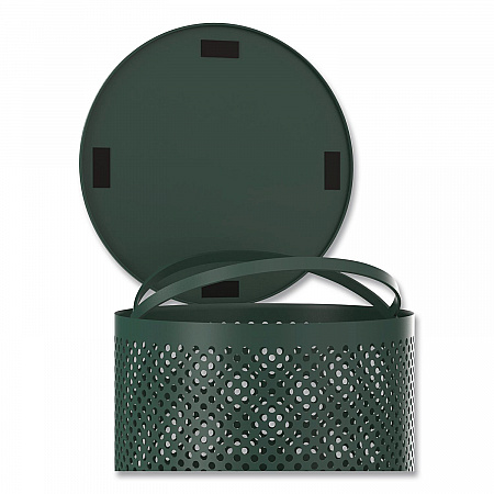 13 Gallon Heavy-Duty Outdoor Pet Waste Trash Can with Lid, Top Door, Green (FLO1TG)