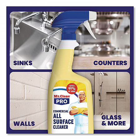 Commercial All Surface Cleaner, Unscented, 32 oz Spray Bottle, 6/Carton (25670)