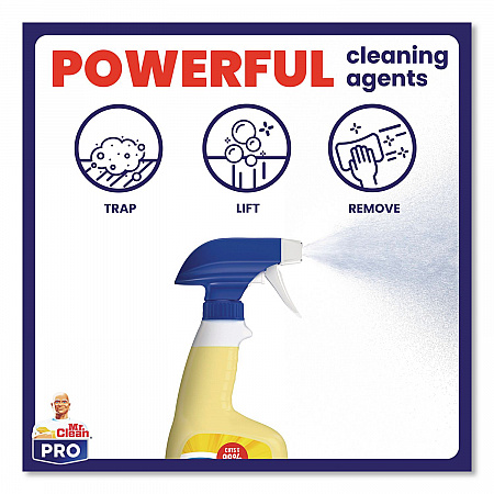 Commercial All Surface Cleaner, Unscented, 32 oz Spray Bottle, 6/Carton (25670)
