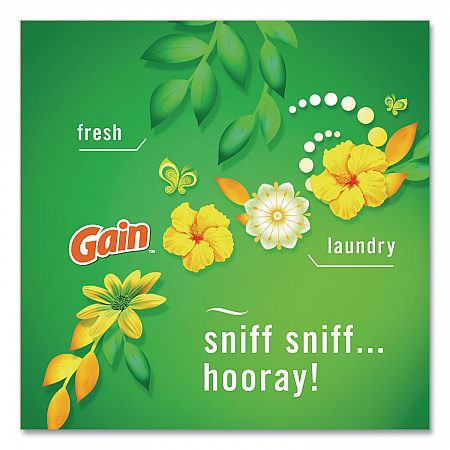 AIR, Gain Original, 8.8 oz Aerosol Spray, 2/Pack (17346PK)