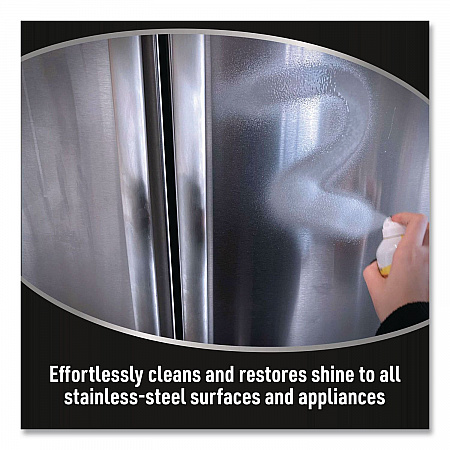Stainless Steel Cleaner, 12 oz Can, 6/Carton (CSS12)