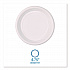 Hi-Impact Plastic Dinnerware, Plate, 6