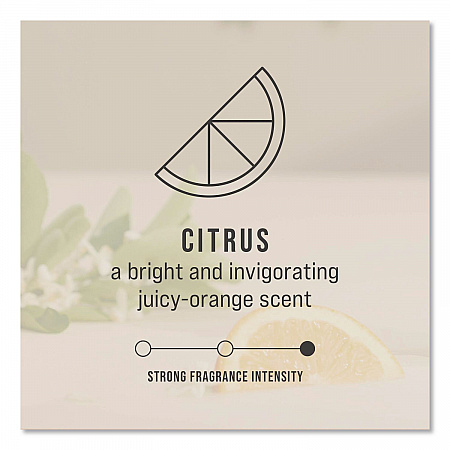 CirculAir 90 Passive Air Care Refill, Citrus, 1.62 oz, 6/Carton (402113)