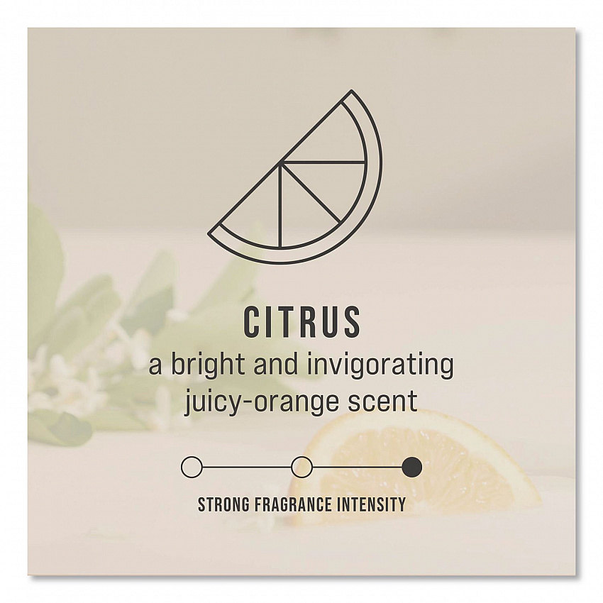 CirculAir 90 Passive Air Care Refill, Citrus, 1.62 oz, 6/Carton (402113)