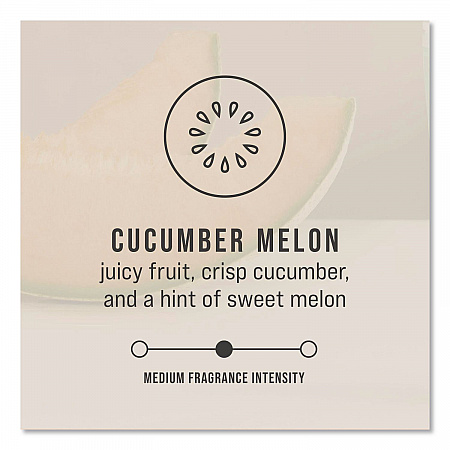 CirculAir 90 Passive Air Care Refill, Cucumber Melon, 1.62 oz, 6/Carton (402470)