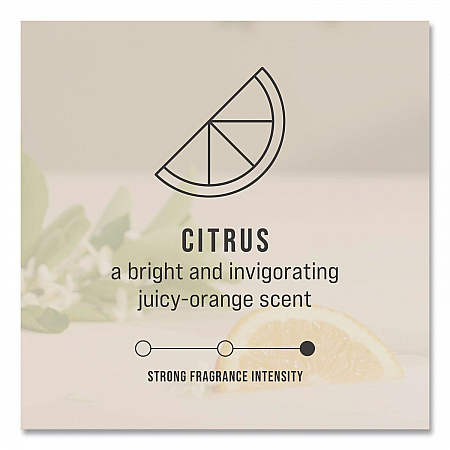 CirculAir 90 Passive Air Care Refill, Citrus, 1.62 oz (FG402113)