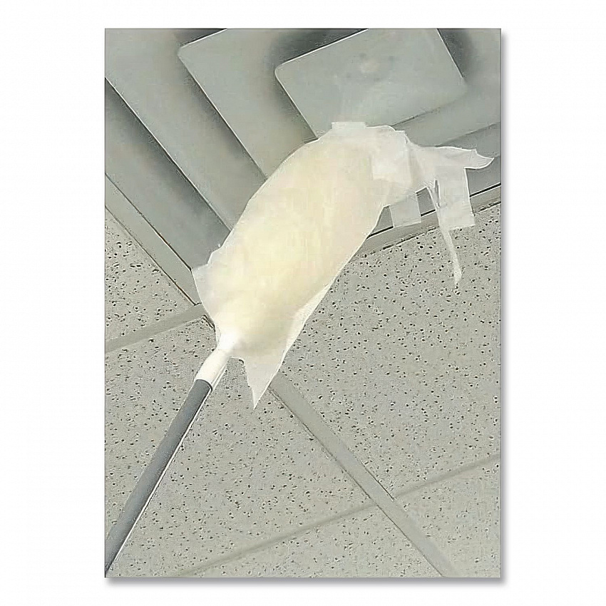 ProDuster Disposable Replacement Sleeves, Polyester, White, 7" x 18", 50/Pack (DS50Y)