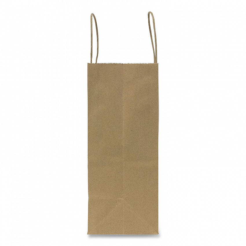 Paper Shopping Bag, Rope Handles, Small Size, 8.1 x 4.5 x 10.6, Kraft, 250/Carton (FPSB100)