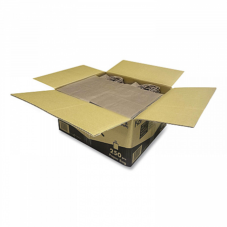 Paper Shopping Bag, Rope Handles, Small Size, 8.1 x 4.5 x 10.6, Kraft, 250/Carton (FPSB100)