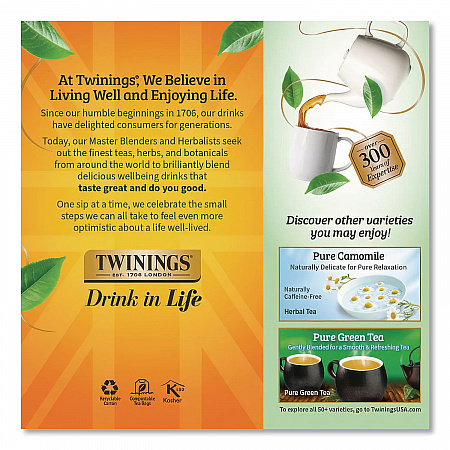 Tea Bags, Pure Peppermint, 1.76 oz Filterbag, 25/Box (09179)