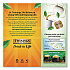 Tea Bags, Pure Peppermint, 1.76 oz Filterbag, 25/Box (09179)