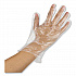 EconoFit Plus Polyethylene Gloves, Powder-Free, Medium, Clear, 200/Box, 10 Boxes/Carton (EFMD2000)