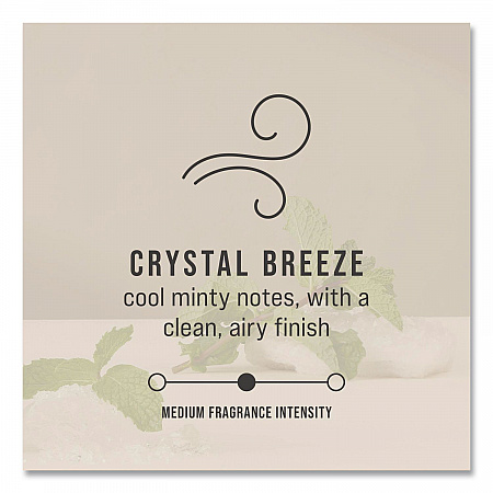 CirculAir 90 Passive Air Care Refill, Crystal Breeze, 48 mL Refill, 6/Carton (2231717)