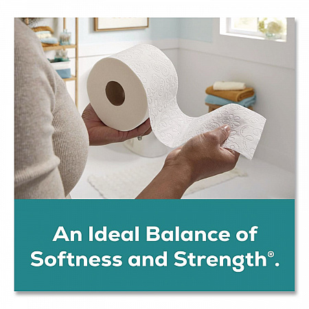 Mega Toilet Paper, Septic Safe, 2-Ply, White, 320 Sheets/Roll, 16 Rolls/Pack (7942301)