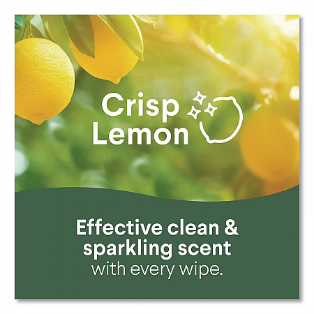 Disinfecting Wipes, Bleach Free Cleaning Wipes, 1-Ply, 7 x 8, Fresh Scent/Citrus Blend, White, 75/Canister, 3/Pack, 4/Carton (30208)