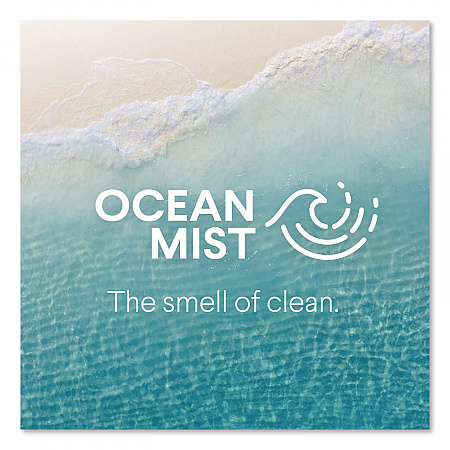 Bathroom Foamer with Bleach, Ocean Mist Scent, 30 oz Spray Bottle, 9/Carton (30614)