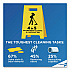 CloroxPro Urine Remover for Stains and Odors, Clean Floral Scent, 32 oz Spray Bottle, 9/Carton (31036CT)