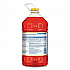 CloroxPro Fraganzia Multi-Purpose Cleaner, Citrus Blossom Scent, 175 oz Bottle, 3/Carton (60615CT)