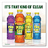 Multi-Surface Cleaner Concentrated, Lemon Fresh Scent, 14 oz Bottle, 12/Carton (60148CT)
