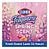 CloroxPro Fraganzia Multi-Purpose Cleaner, Spring Scent, 175 oz Bottle, 3/Carton (31524CT)