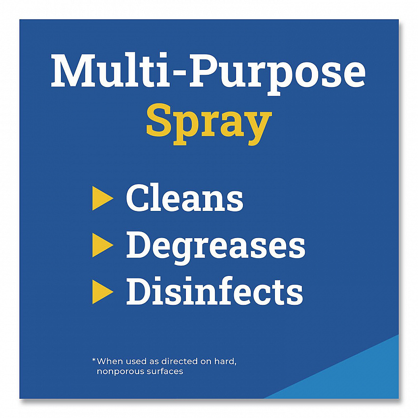 CloroxPro Cleaner Degreaser Disinfectant, 32 oz Spray, 12/Carton (35306CT)