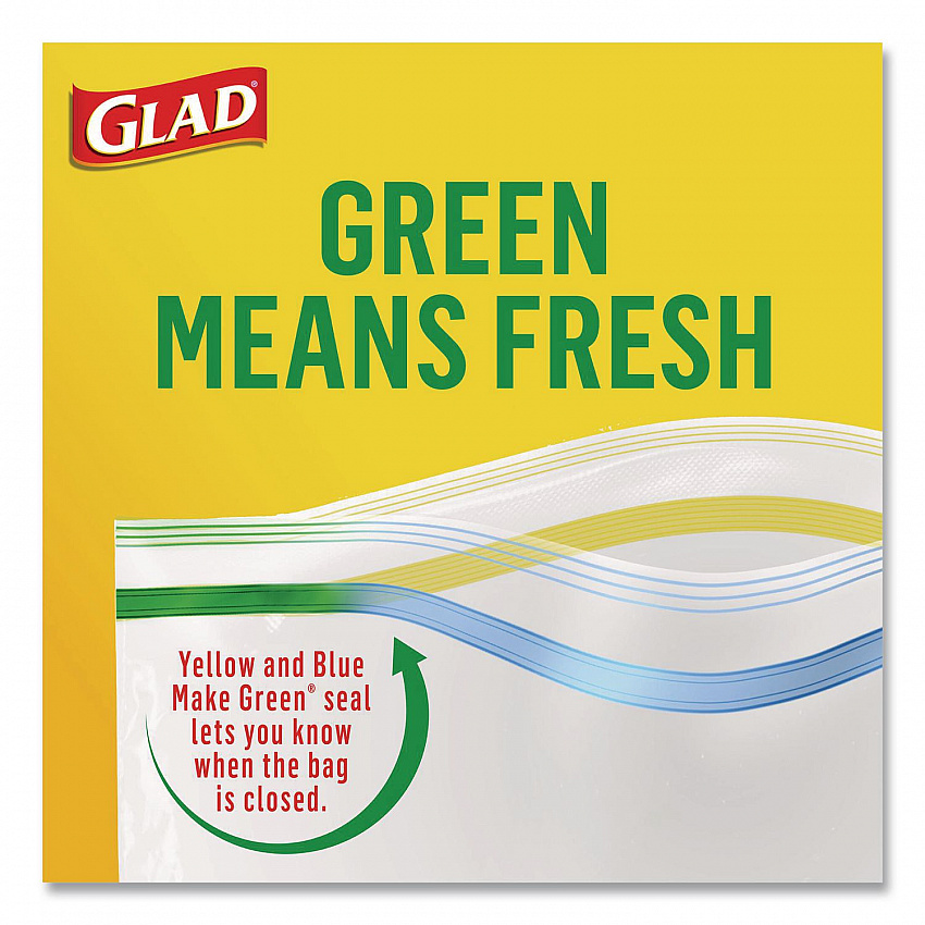 Zipper Food Storage Plastic Bags, Gallon Size, 10.75 x 10.19, Clear, 20 Bags/Box, 12 Boxes/Carton (55050)