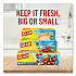 Zipper Food Storage Plastic Bags, Gallon Size, 10.75 x 10.19, Clear, 20 Bags/Box, 12 Boxes/Carton (55050)