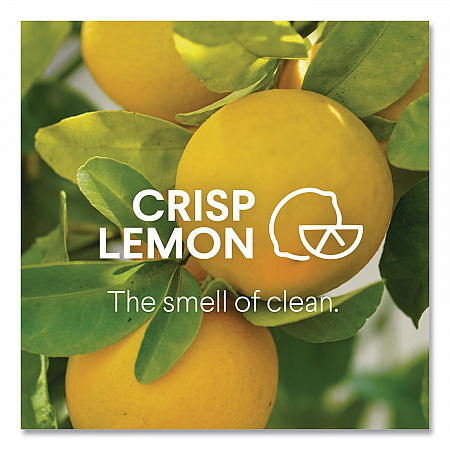 Disinfecting All Purpose Cleaner Spray, Crisp Lemon Scent, 32 oz Bottle, 9/Carton (60044CT)