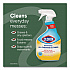 Disinfecting All Purpose Cleaner Spray, Crisp Lemon Scent, 32 oz Bottle, 9/Carton (60044CT)