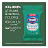 Disinfecting Wipes, On the Go Bleach Free Travel Wipes, 1-Ply, 6.53 x 2.79, Fresh Scent, White, 9/Pack, 24 Packs/Carton (60133)