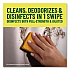 Multi-Surface Cleaner Disinfectant Concentrated, Pine Scent, 14 oz Bottle, 12/Carton (60146CT)