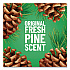 Multi-Surface Cleaner Disinfectant Concentrated, Pine Scent, 14 oz Bottle, 12/Carton (60146CT)